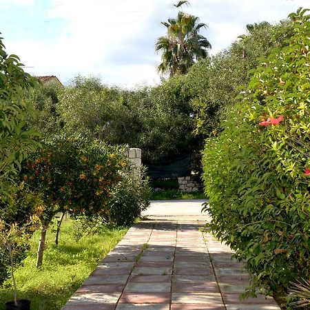 Andriani-Michalis Studios Vasilikos  Exterior photo